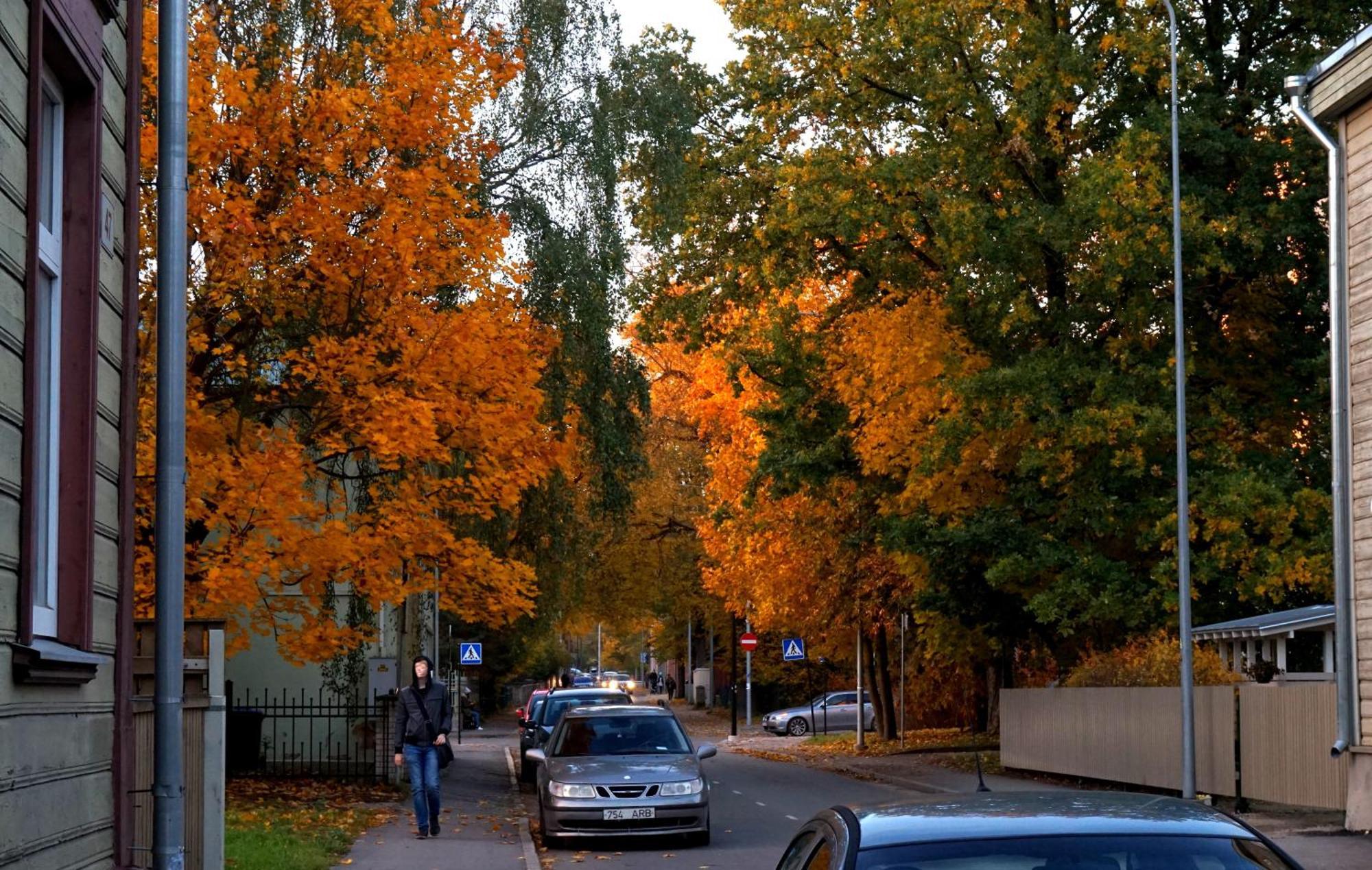 Quiet Romantic Studio Plus Parking, Tartu Home Екстериор снимка